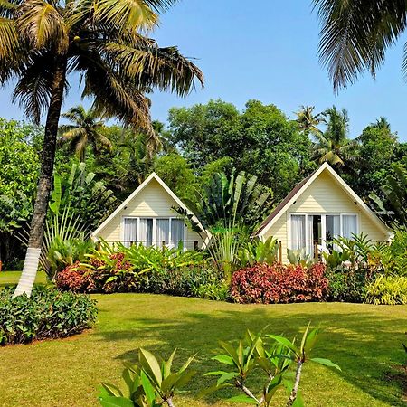 Ether Marari Beachfront マラリクラム エクステリア 写真