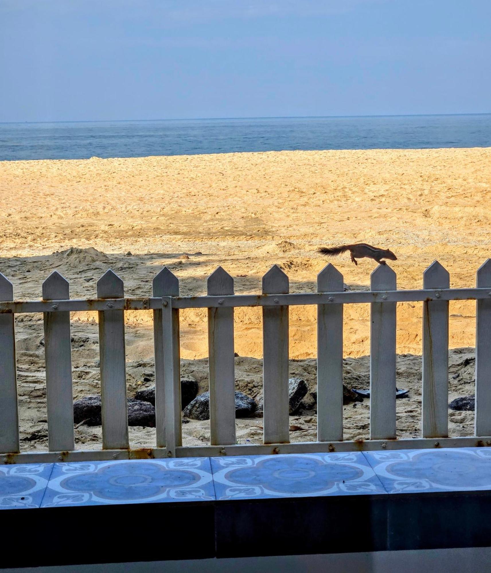 Ether Marari Beachfront マラリクラム エクステリア 写真